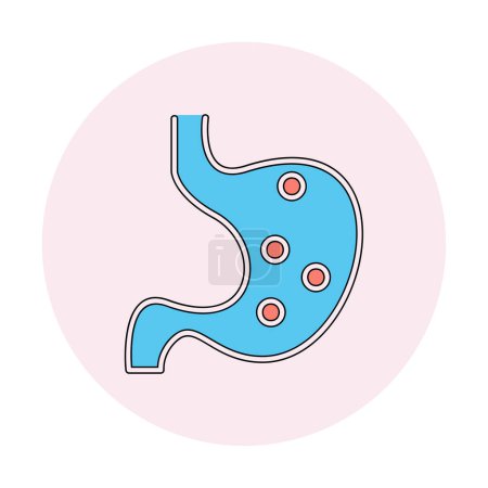Ilustración de Icono del estómago humano. Esquema Icono de vector estomacal humano para diseño web aislado sobre fondo blanco - Imagen libre de derechos