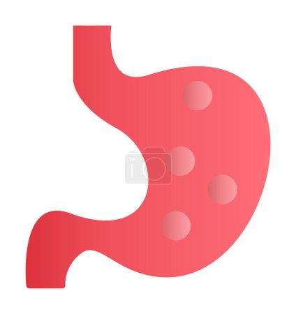 Illustration for Human stomach icon. outline human stomach vector icon for web design isolated on white background - Royalty Free Image