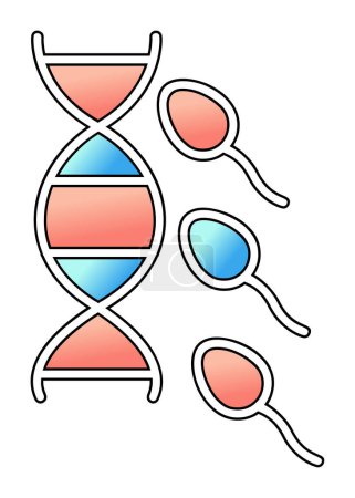 Illustration for Vector outline illustration of reproductive system - Royalty Free Image