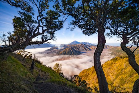 Photo for Amazing Mount Bromo volcano during sunny sky from king kong viewpoint on Mountain Penanjakan in Bromo Tengger Semeru National Park,East Java,Indonesia.Nature landscape background - Royalty Free Image