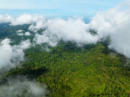 Luftaufnahme fließende Nebelwellen auf Bergen tropischer Regenwald, Vogelperspektive Bild über den Wolken, Erstaunliche Natur Hintergrund mit Wolken und Berggipfeln in Thailand