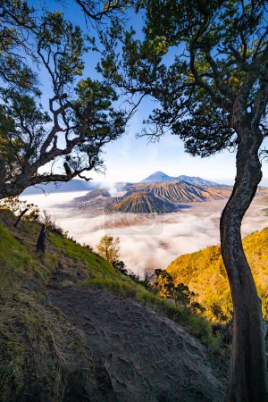 Amazing Mount Bromo volcano during sunny sky from king kong viewpoint on Mountain Penanjakan in Bromo Tengger Semeru National Park,East Java,Indonesia.Nature landscape background