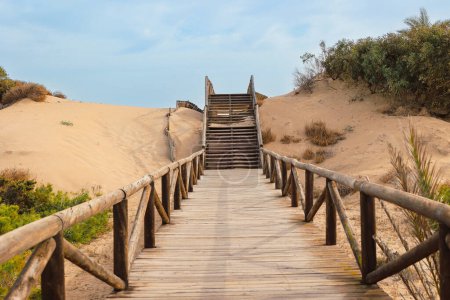 Téléchargez les photos : Pasarela de madera sobre dunas, escapada en Guardamar del Segura, Alicante, Espagne - en image libre de droit