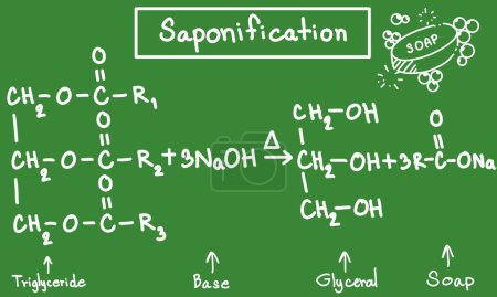 Equation of saponification on board, chemistry equation, soap equation