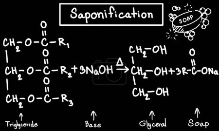 Ecuación de saponificación a bordo, ecuación química, ecuación jabón