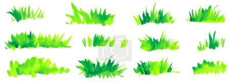 Illustration for Green hand painted watercolor grass. Hand drawn bio, organic, natural, eco friendly design elements. Bright fresh green grass field meadow lawn textures - Royalty Free Image