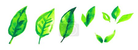 Illustration for Green watercolor leaves. Bio, organic, natural, eco friendly design elements for tea packaging. Hand drawn badges, labels, stains, shapes. Hand-painted green leaves collection - Royalty Free Image