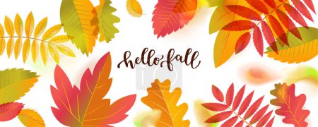 Illustration for Hello Fall Sale horizontal promotion banner. Bright warm colors design template. Vivid colorful autumn leaves with shadows isolated on white background - Royalty Free Image