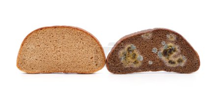 Photo for Pieces of fresh and moldy bread isolated on a white background. - Royalty Free Image