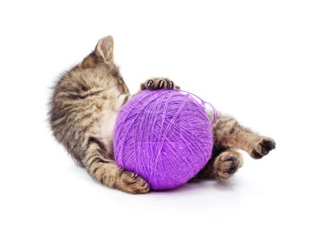 Kitten with a ball isolated on a white background.
