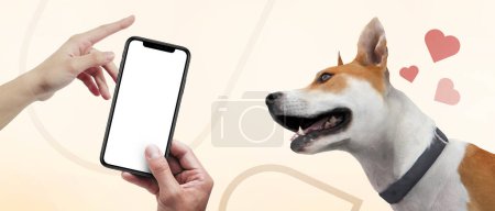 Liebe und Fürsorge für Hunde mit dem Konzept der Entwicklung von Anwendungen über Haustierdienste auf gelbem Hintergrund. Kopierraum, Banner, Webseite - 3D-Rendering