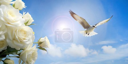 Abstrakter Hintergrund. Weiße Vögel fliegen im Hintergrund des Himmels und weiße Rosen gegen die Morgensonne des Weltfriedenskonzeptes ein