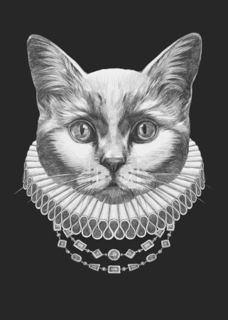 Portret kota z elżbietańskim kołnierzem. Ilustracja ręcznie rysowana
