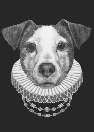 Téléchargez les photos : Portrait de Jack Russell avec collier élisabéthain. Illustration dessinée à la main - en image libre de droit