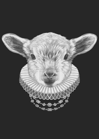 Téléchargez les photos : Portrait d'agneau avec collier élisabéthain. Illustration dessinée à la main - en image libre de droit