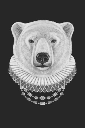 Téléchargez les photos : Portrait d'ours blanc avec col élisabéthain. Illustration dessinée à la main - en image libre de droit