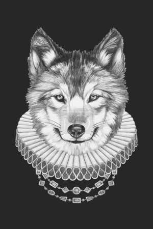 Foto de Retrato de lobo con cuello isabelino. Ilustración dibujada a mano - Imagen libre de derechos