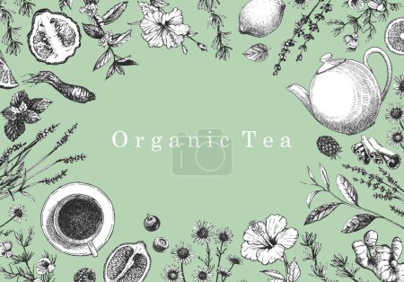 Illustration for Organic Tea. Hand-drawn illustration of plants and objects. Ink. Vector - Royalty Free Image