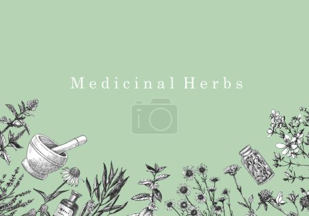 Téléchargez les illustrations : Herbes Médicales. Illustration dessinée à la main d'herbes et d'objets. Encre. Vecteur - en licence libre de droit