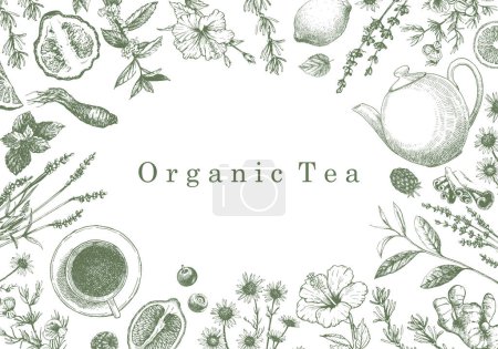 Illustration for Organic Tea. Hand-drawn illustration of plants and objects. Ink. Vector - Royalty Free Image