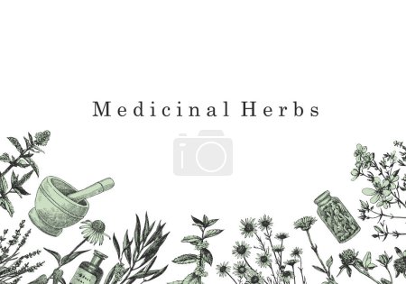 Téléchargez les illustrations : Herbes Médicales. Illustration dessinée à la main d'herbes et d'objets. Encre. Vecteur - en licence libre de droit