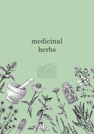 Ilustración de Hierbas médicas. Ilustración dibujada a mano de hierbas y objetos. Tinta. Vector - Imagen libre de derechos
