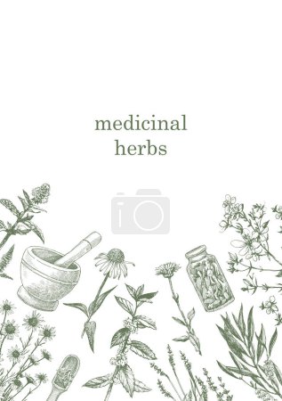 Medical Herbs. Hand-drawn illustration of herbs and objects. Ink. Vector