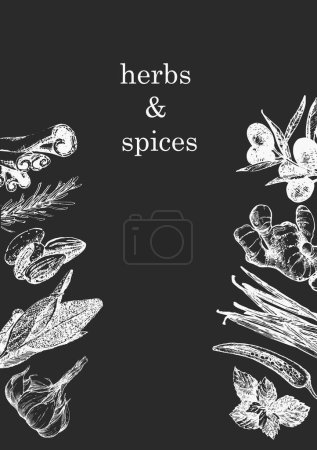 Téléchargez les illustrations : Herbes et épices. Illustration dessinée à la main de plantes et d'objets. Encre. Vecteur - en licence libre de droit
