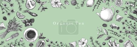 Ilustración de Té orgánico. Ilustración dibujada a mano de plantas y objetos. Tinta. Vector - Imagen libre de derechos