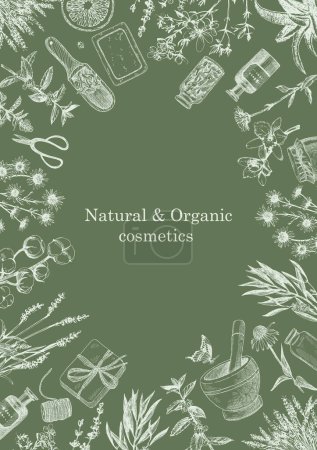 Illustration for Natural and Organic Cosmetics. Herbs. Hand-drawn illustration of plants and objects. Ink. Vector - Royalty Free Image