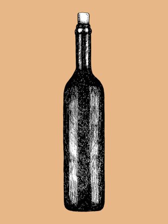 Téléchargez les illustrations : Illustration dessinée à la main de la bouteille de vin. Vecteur. Dessin d'encre - en licence libre de droit