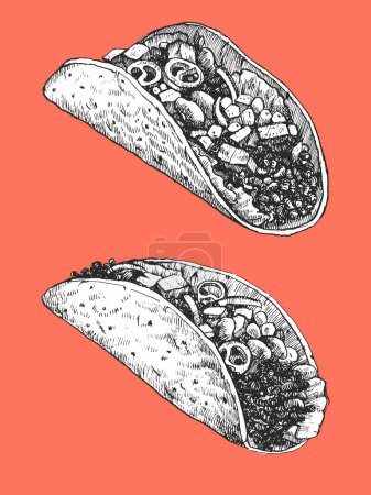Illustration for Mexican Food. Hand-drawn illustration of Tacos. Ink. Vector - Royalty Free Image