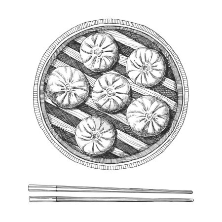 Illustration for Hand drawn illustration of steamed dumplings in vintage style, vector - Royalty Free Image