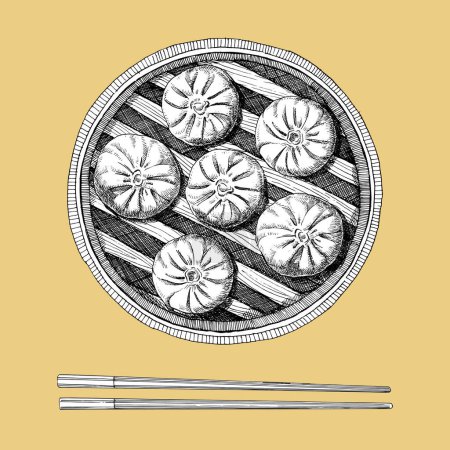 Illustration for Hand drawn illustration of steamed dumplings in vintage style, vector - Royalty Free Image