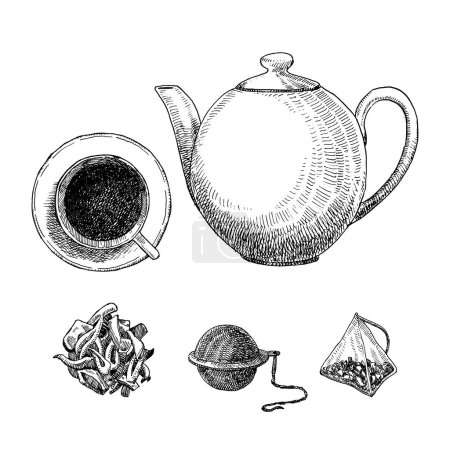 Téléchargez les illustrations : Coffret thé. Illustration dessinée à la main de Tea Pot, Tea Bag et Tea Strainer. Encre. Vecteur - en licence libre de droit