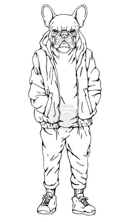 Téléchargez les illustrations : Portrait de Bulldog français vêtu d'une veste et d'un pantalon. Illustration dessinée à la main. Vecteur - en licence libre de droit