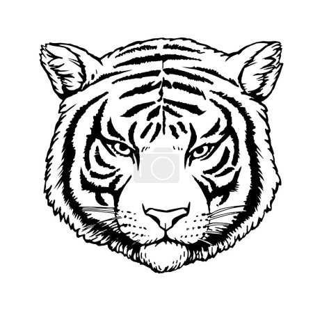 Téléchargez les illustrations : Portrait de Tigre. Illustration dessinée à la main. Vecteur - en licence libre de droit