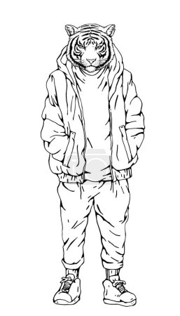 Ilustración de Retrato de Tigre vestido con chaqueta y pantalón. Ilustración hecha a mano. Vector - Imagen libre de derechos