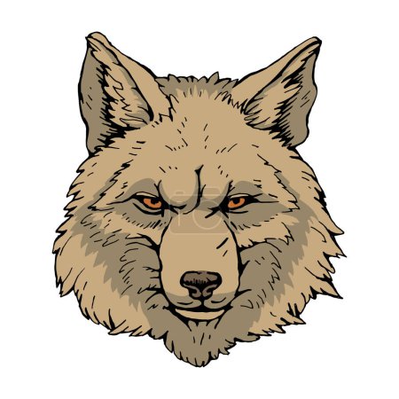 Ilustración de Retrato de Lobo. Ilustración hecha a mano. Vector - Imagen libre de derechos