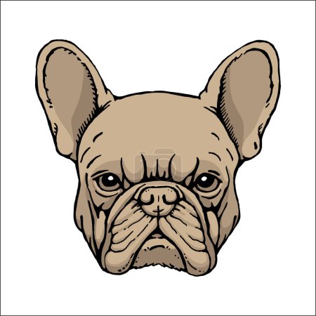 Ilustración de Retrato de Bulldog francés. Ilustración hecha a mano. Vector - Imagen libre de derechos