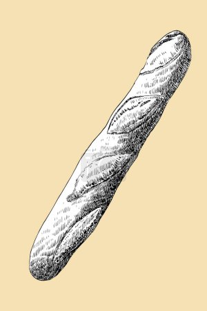 Illustration for Homemade baguette, hand drawn sketch, vector illustration - Royalty Free Image