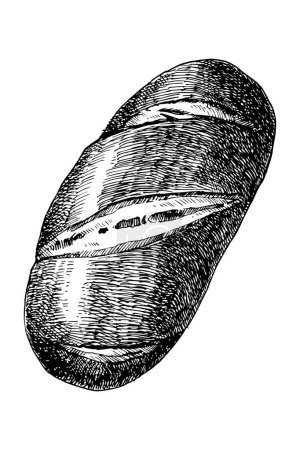 Ilustración de Pan casero, boceto dibujado a mano, ilustración vectorial - Imagen libre de derechos
