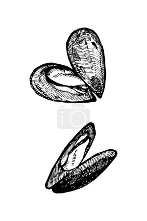 Téléchargez les illustrations : Moules croquis dessiné à la main, illustration vectorielle - en licence libre de droit
