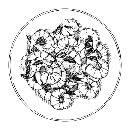 Ilustración de Placa de langostinos, boceto dibujado a mano, ilustración vectorial - Imagen libre de derechos