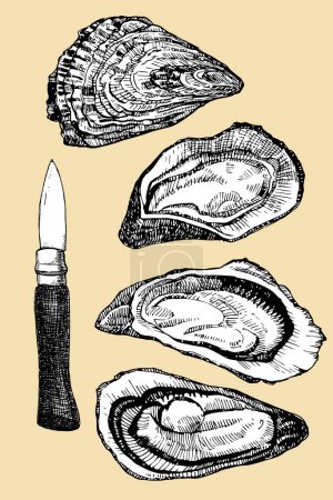 Téléchargez les illustrations : Huîtres au couteau, croquis dessiné à la main, illustration vectorielle - en licence libre de droit