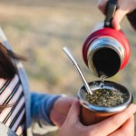 Two unrecognizable young women friends serving and drinking yerba mate in the country side at sunset. High quality photo