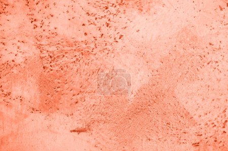 Foto de Fondo, textura de hormigón y piedra en el color de 2024 pelusa melocotón. Foto de alta calidad - Imagen libre de derechos