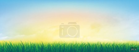 Illustration for Fresh spring green grass under beautiful yellow to blue sky. Nature background with green grass and colorful sky. Vector illustration. - Royalty Free Image