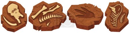 Ilustración de Huesos fósiles de excavaciones arqueológicas de dinosaurios en piedra de amonita. Estudio y aprendizaje de animales antiguos Ilustración vectorial criatura período Jurásico - Imagen libre de derechos