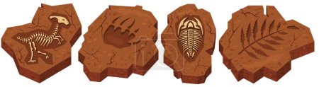 Ilustración de Esqueleto de dinosaurio e insecto, pata de criatura y rastro de planta aislados sobre fondo blanco. Período prehistórico de las excavaciones arqueológicas de la edad jurásica - Imagen libre de derechos